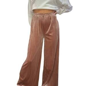 NEW WISHLIST velvet pleated wide leg pants in champagne